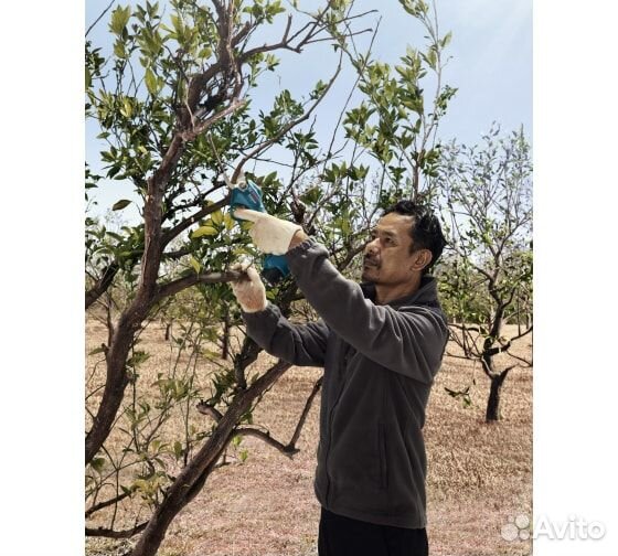 Секатор аккумуляторный bosch Pro Pruner