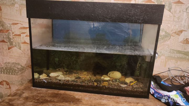 Продам аквариум+насос