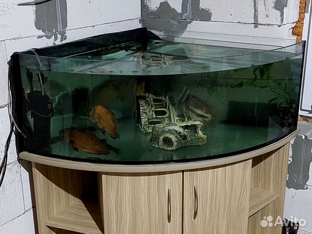 Новый аквариум объявление продам