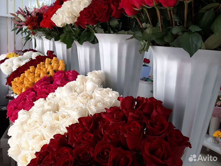 Цветы розы с доставкой