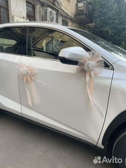Свадебные украшения на машину