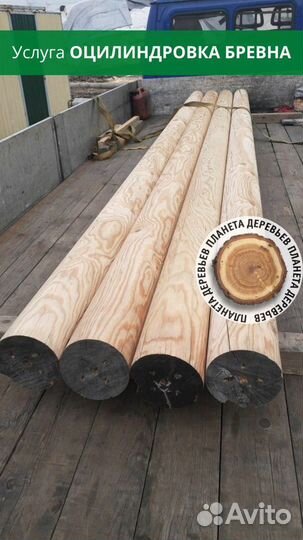 Оцилиндрованное бревно от производителя
