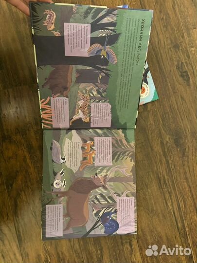 Мозаика синтез музыкпльные книги