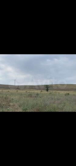 Участок 6,5 сот. (СНТ, ДНП)