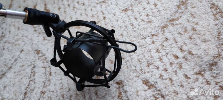 Микрофон ritmix rdm-169 USB