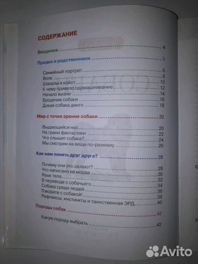 Энциклопедия