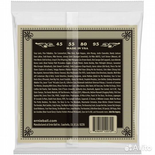 Ernie ball 2070 earthwood phosphor bronze 45-95