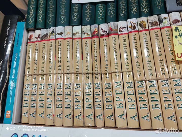 Альфред Брем 