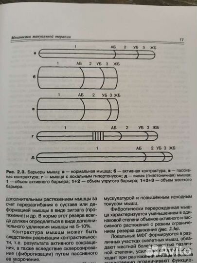 Мануальная медицина Иваничев