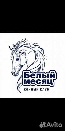 Конные прогулки для новичков без опыта