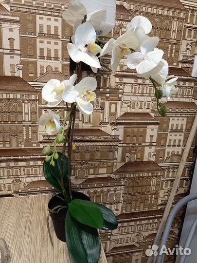 Орхидея фаленопсис искусст. Икеа