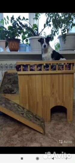 Дом с лежанкой