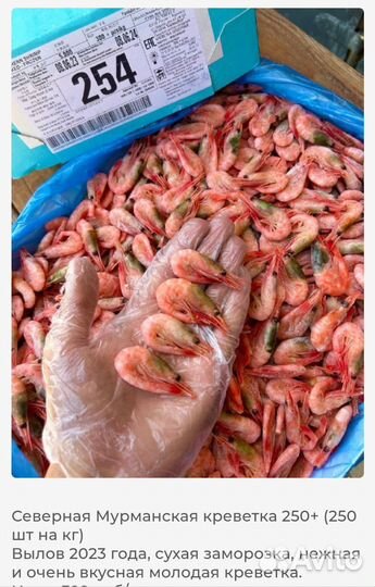 Креветка мурманская