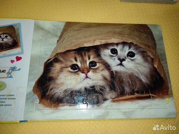 Книга Пазл Кошки и котята