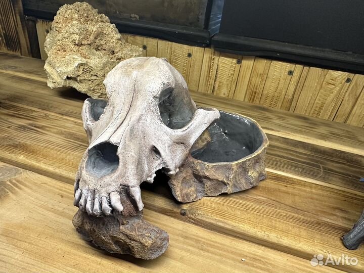 Укрытие для рептилий