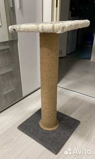 Когтеточка