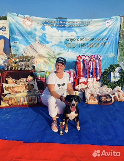 Дрессировка собак-Кинолог