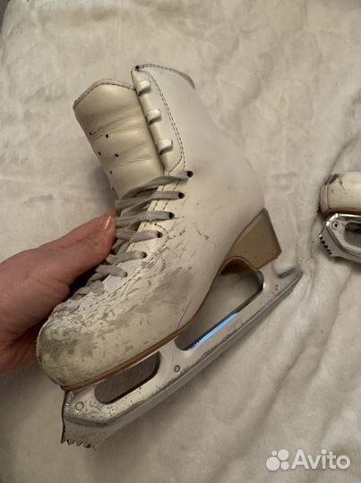 Коньки фигурные edea overture