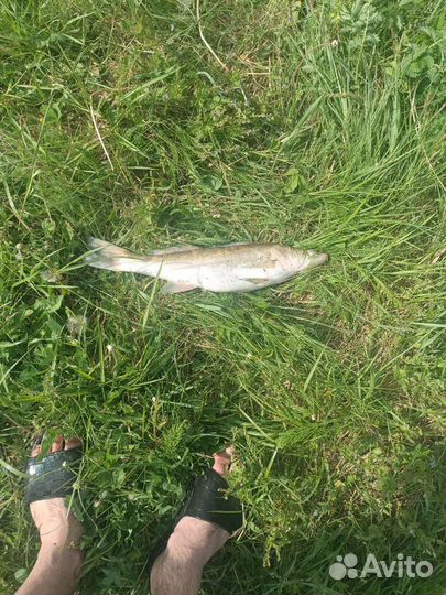 Рыбалка и отдых