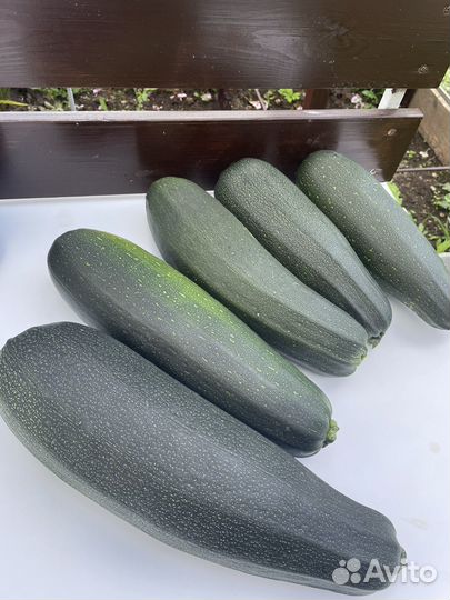 Йошта ягоды,крыжовник, кабачки