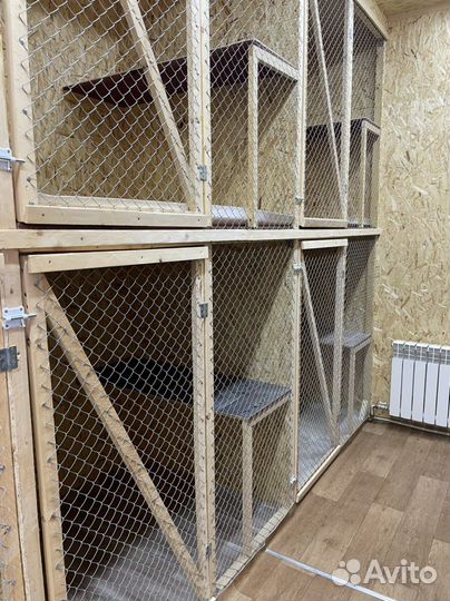 Передержка для животных кошек, грызунов, птиц