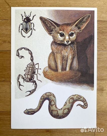 Винтажные иллюстр. обитателей темноты 16 шт. 1987