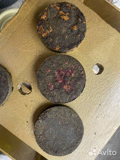 Иван чай ферментированный присованый опт