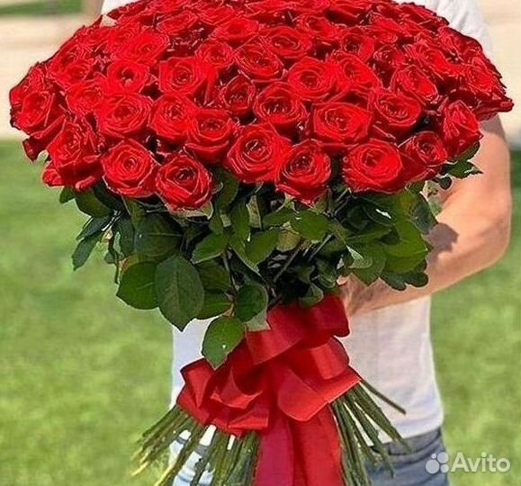 Высокие розы Гигантские розы Доставка цветов