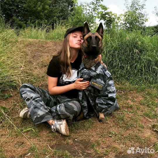 Кинолог / инструктор по послушанию