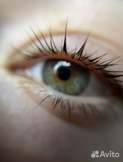 Ресницы брови