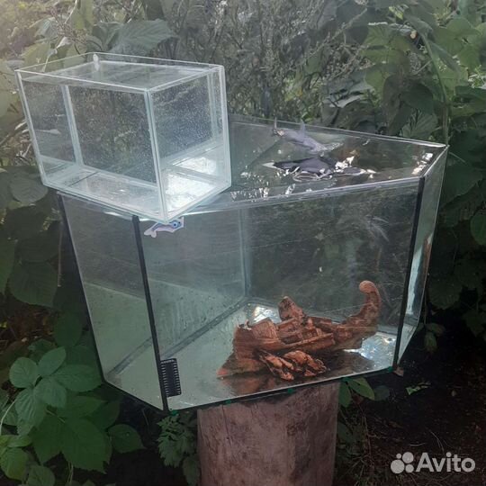 Аквариумы с пидсветкой и без и др