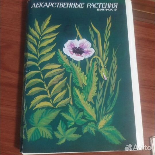Лекарственные растения. Открытки, книги. СССР