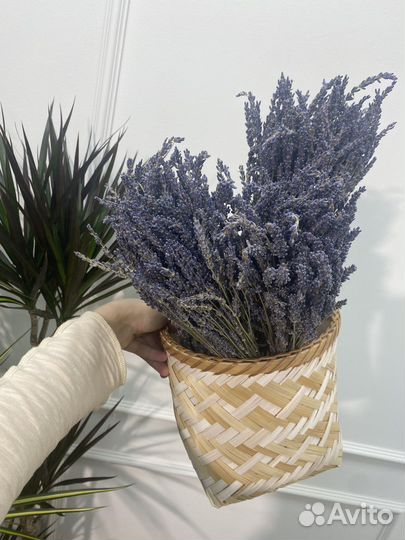 Лаванда сухоцвет пучок