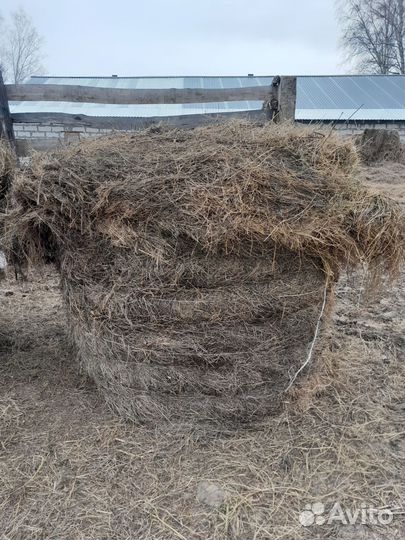 Продам солому,сено