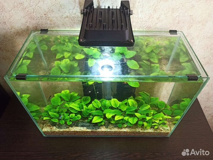 Держатели покровного стекла