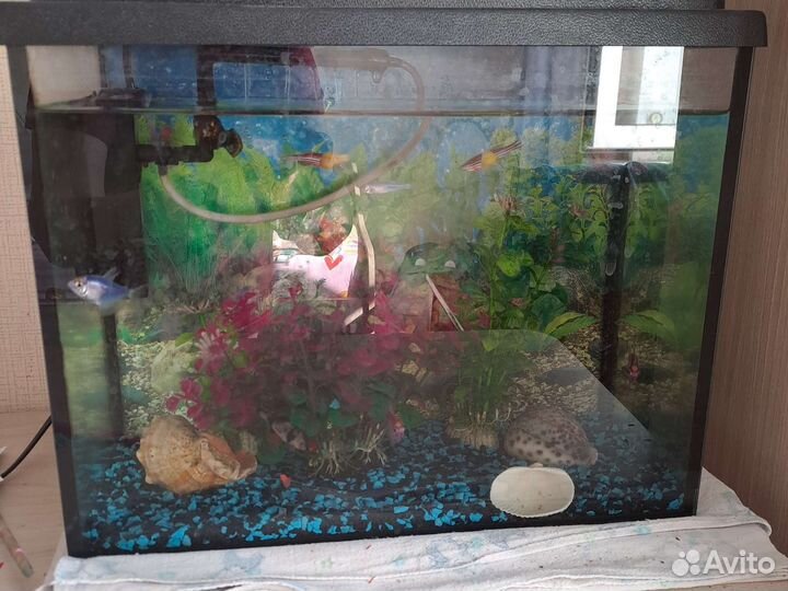 Аквариум