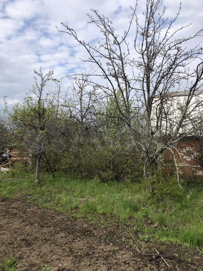 Участок 4 сот. (СНТ, ДНП)