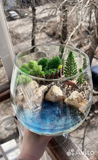 Моссариум со светящимся водоёмом