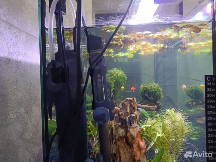 Аквариум готовый