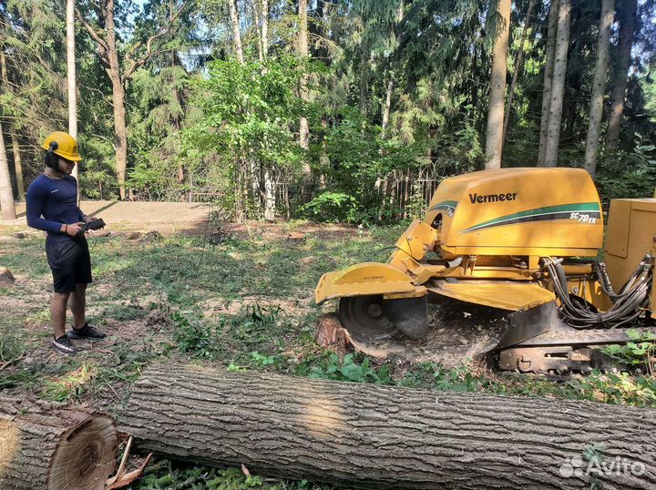 Удаление, корчевание пней. Арендa
