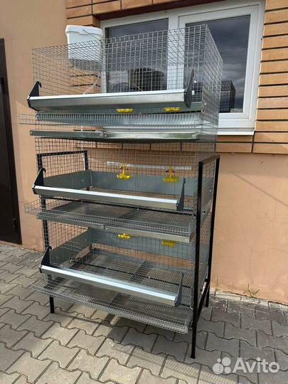 Клетка для 30 кур несушек каркасная