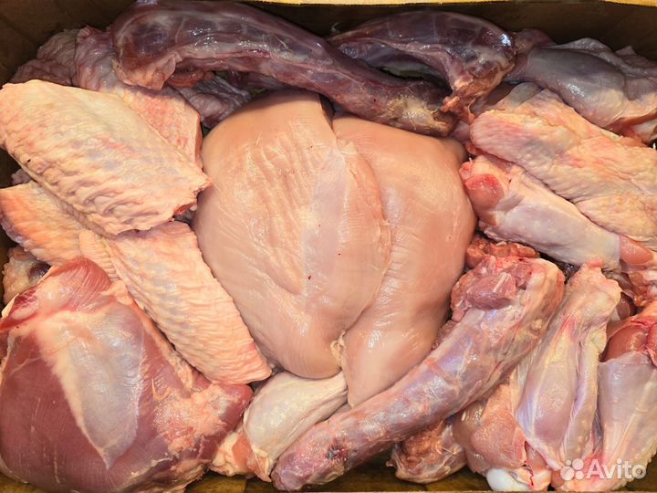 Мясо полутуши говядина курица индейка