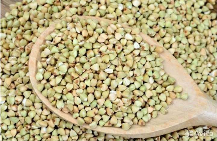 Зеленая гречка с Алтая