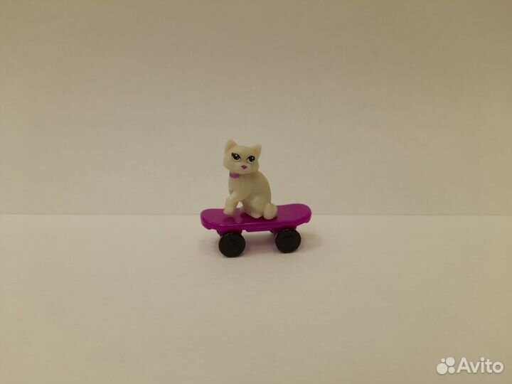Скейтеры из Ленты