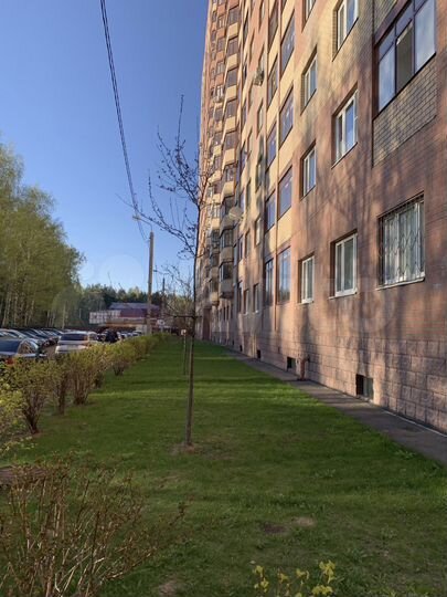 Квартира-студия, 28,8 м², 1/17 эт.