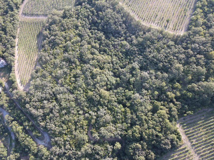 Участок 2 га (ИЖС)