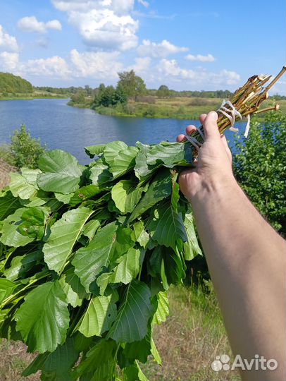 Веники для бани Ольха