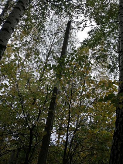 Участок 9,7 сот. (ИЖС)