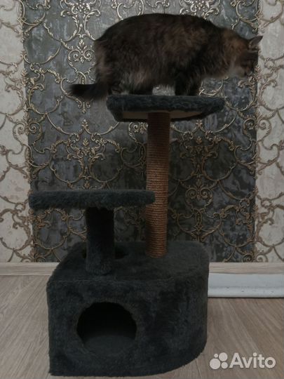 Домик для кошки с когтеточкой бу