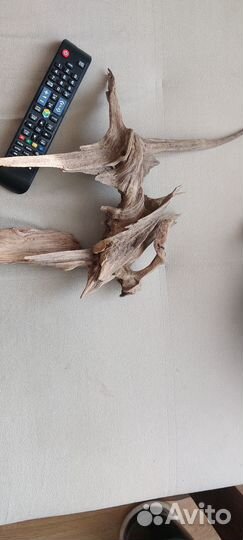 Коряги для аквариума